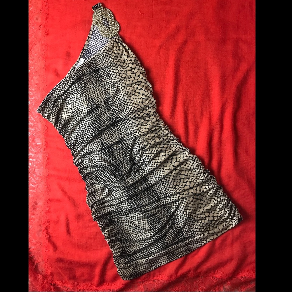 Cache evening/cocktail dresse  (glamorous)
